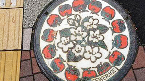 毎日の生活に「りんごポリフェノール」をプラスしませんか？の画像